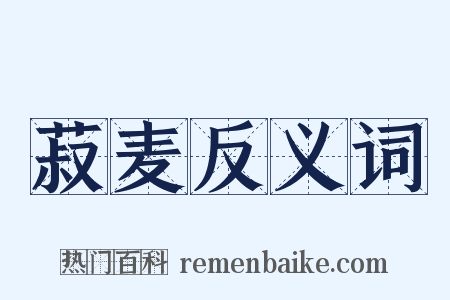 菽麦反义词是什么意思的图片